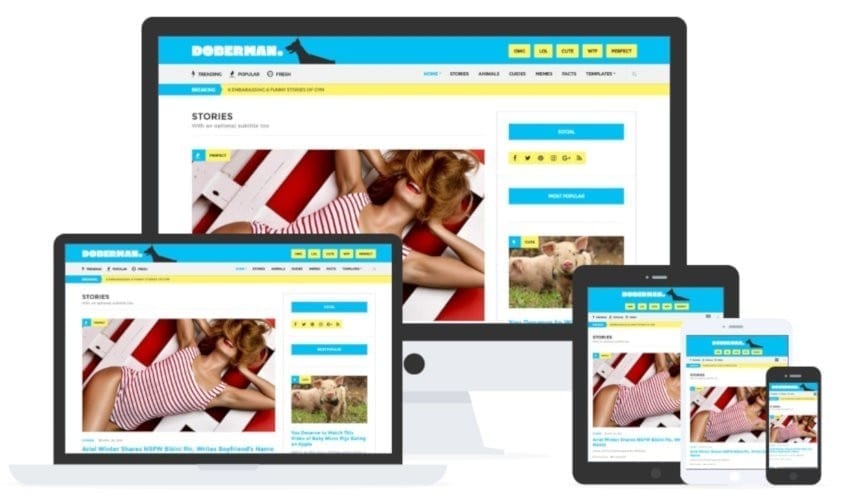 Doberman wordpress theme by cssigniter