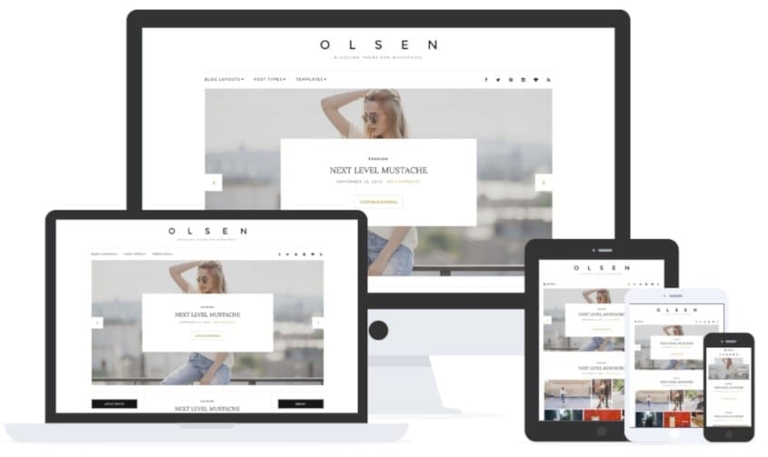 olsen wordpress theme by cssigniter