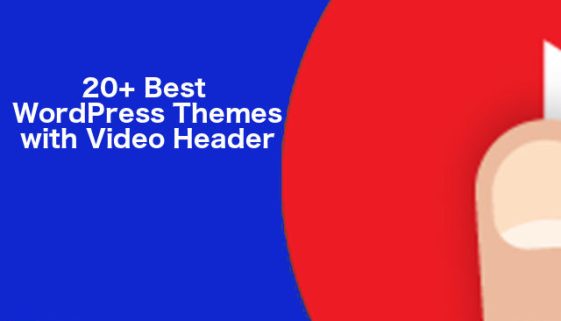 Best WordPress Theme with Video Header